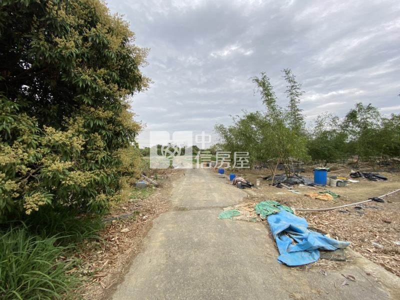 崙子頂超夯農地房屋室內格局與周邊環境
