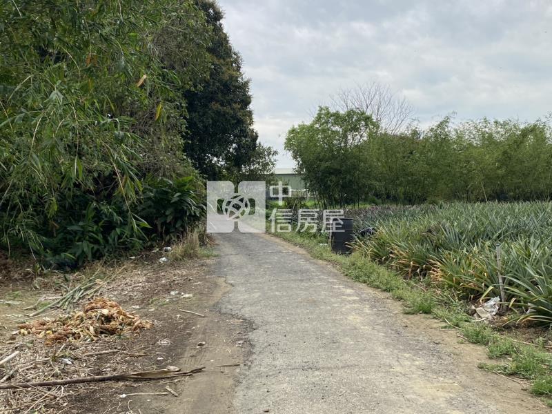 崙子頂超夯農地房屋室內格局與周邊環境