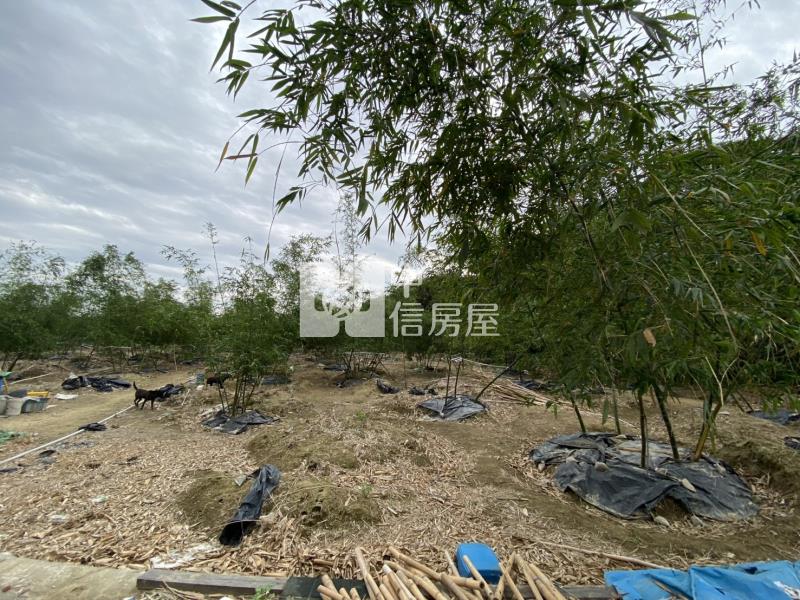 崙子頂超夯農地房屋室內格局與周邊環境