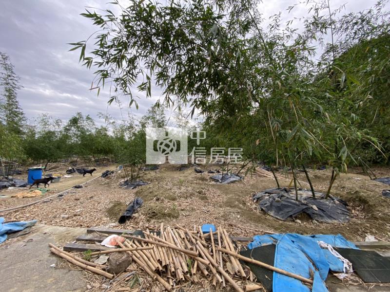 崙子頂超夯農地房屋室內格局與周邊環境