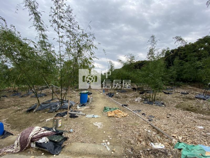 崙子頂超夯農地房屋室內格局與周邊環境