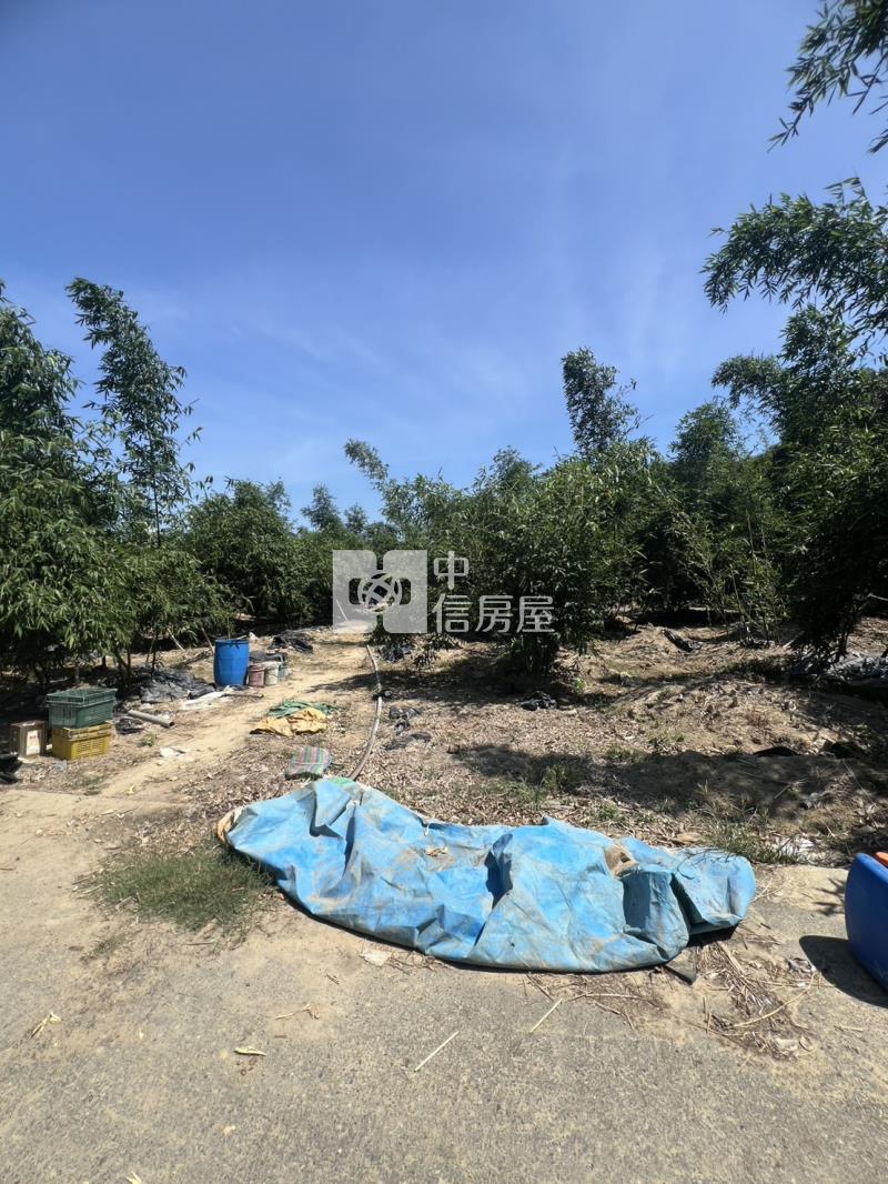 崙子頂超夯農地房屋室內格局與周邊環境