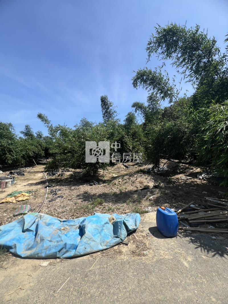 崙子頂超夯農地房屋室內格局與周邊環境