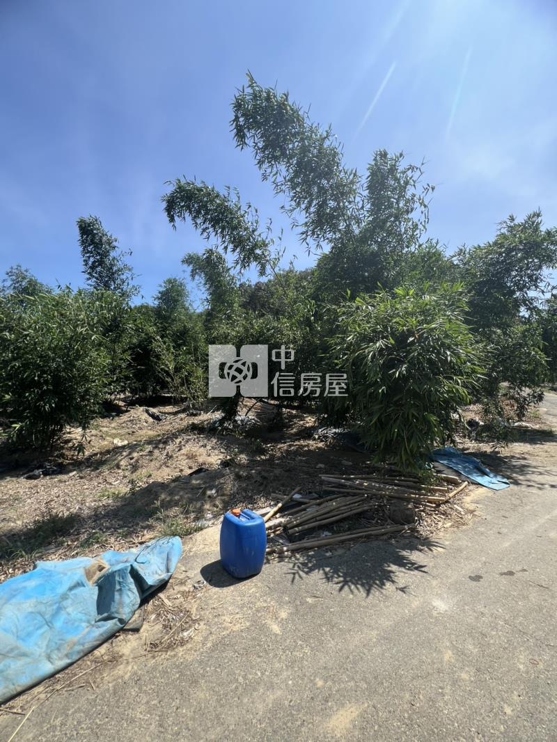 崙子頂超夯農地房屋室內格局與周邊環境