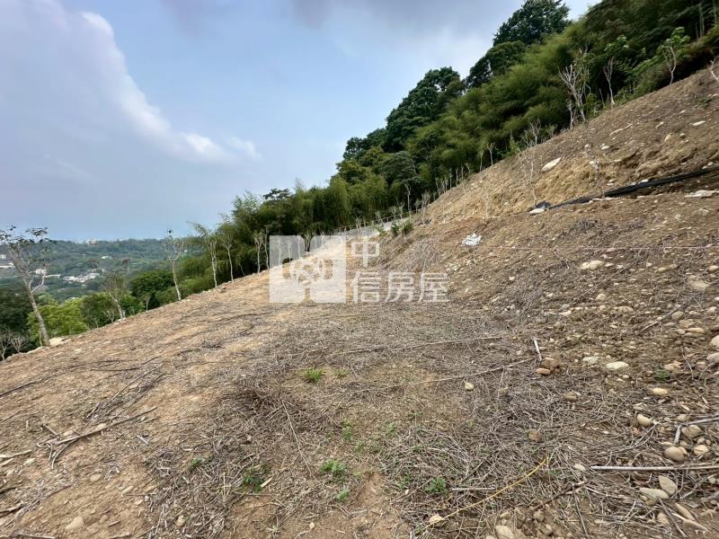 石岡區食水嵙休閒農地【B+C】房屋室內格局與周邊環境