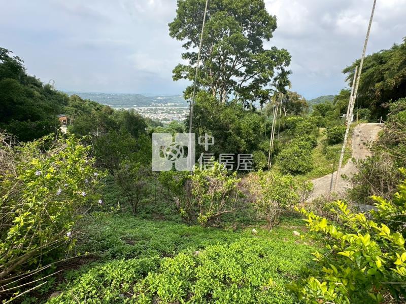 石岡區新金星橘子園休閒農地房屋室內格局與周邊環境