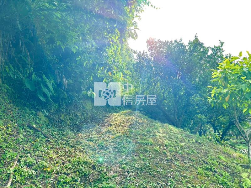 石岡區新金星橘子園休閒農地房屋室內格局與周邊環境