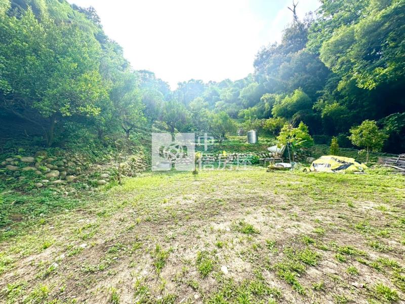 石岡區新金星橘子園休閒農地房屋室內格局與周邊環境
