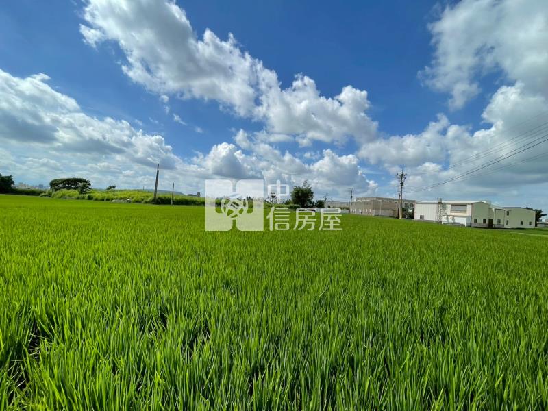 專簽大安臨路便宜農地