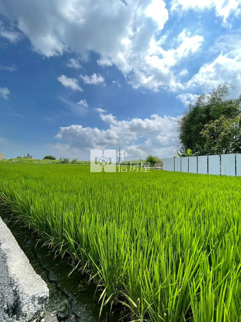 專簽大安臨路便宜農地房屋室內格局與周邊環境