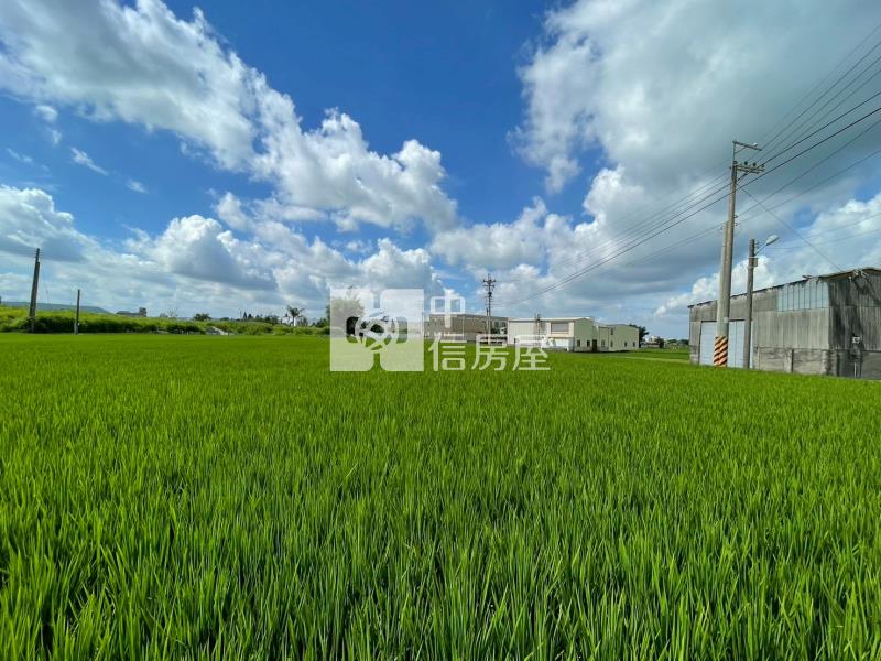 專簽大安臨路便宜農地房屋室內格局與周邊環境