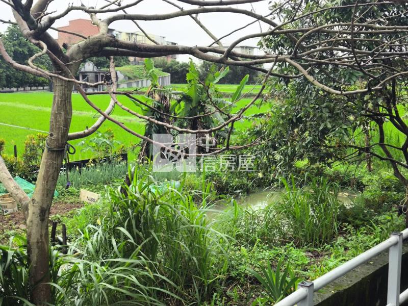 【新世紀】觀音大湖段農地+資材室房屋室內格局與周邊環境
