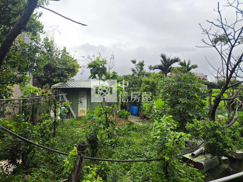 【新世紀】觀音大湖段農地+資材室房屋室內格局與周邊環境