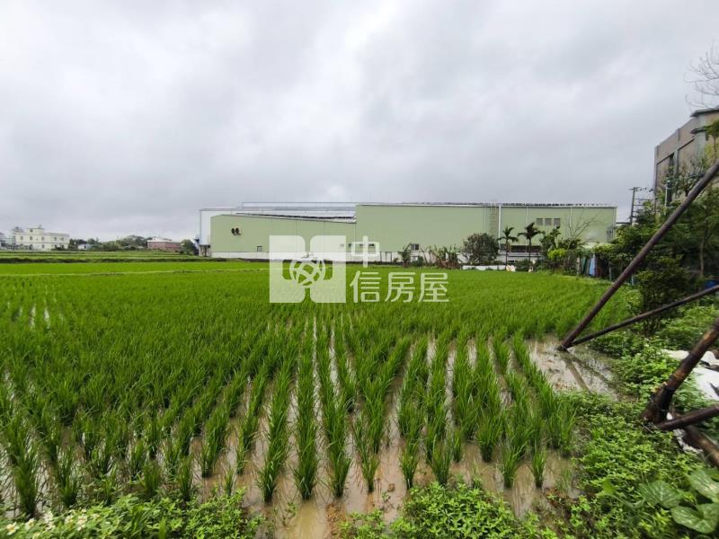 【新世紀】觀音大湖段農地+資材室房屋室內格局與周邊環境