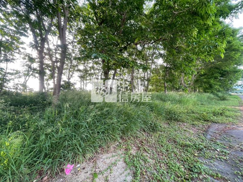 新化關新路旁3分農地房屋室內格局與周邊環境