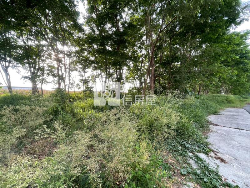 新化關新路旁3分農地房屋室內格局與周邊環境