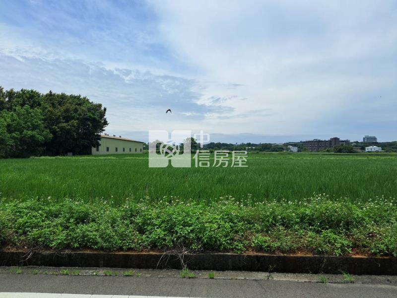 山東路農地房屋室內格局與周邊環境