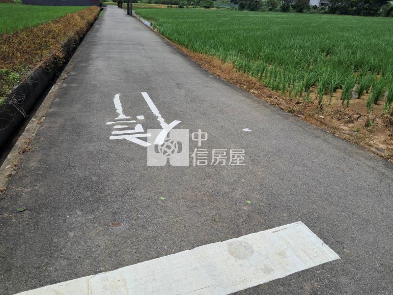 山東路農地房屋室內格局與周邊環境