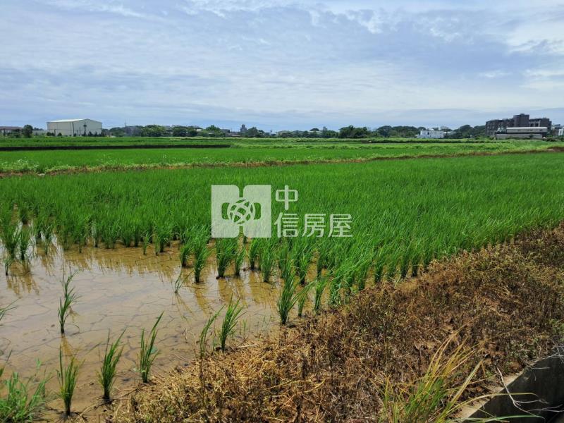 山東路農地房屋室內格局與周邊環境