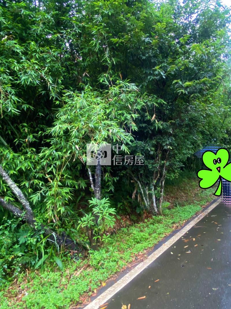 D215桃園復興農牧用地~地主稀有釋出房屋室內格局與周邊環境
