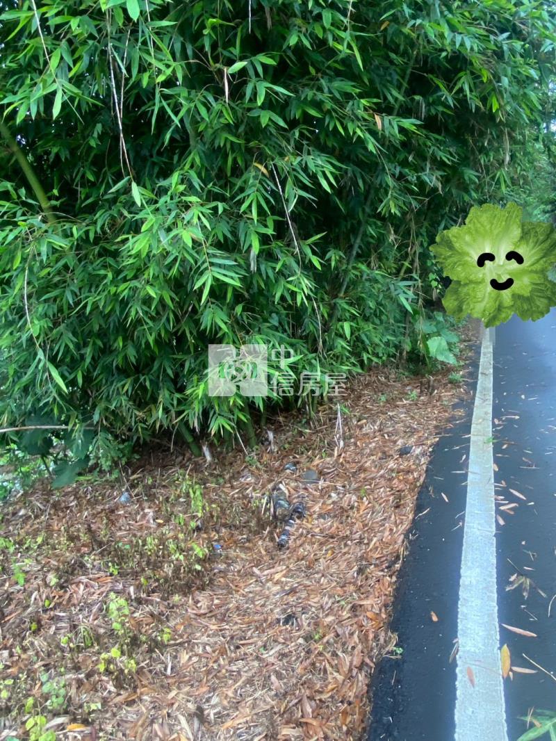 D215桃園復興農牧用地~地主稀有釋出房屋室內格局與周邊環境