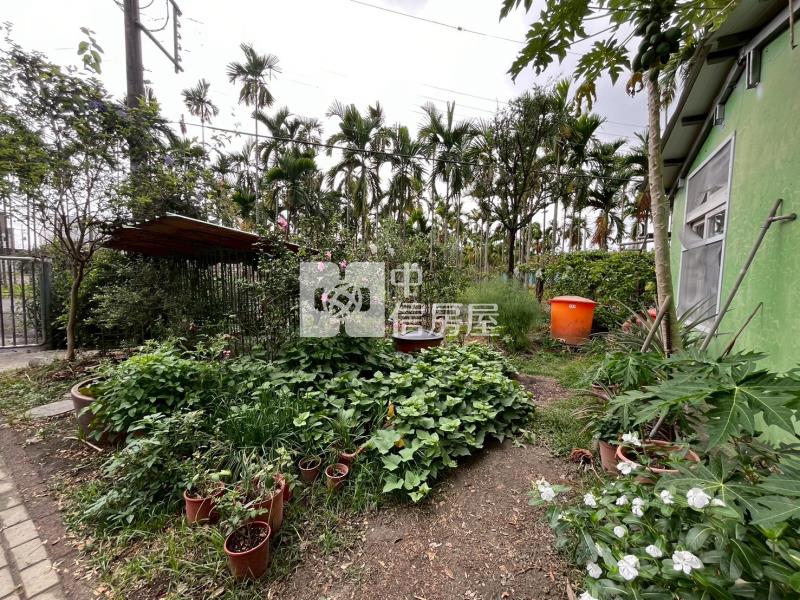 內埔合法莊園農設房屋室內格局與周邊環境