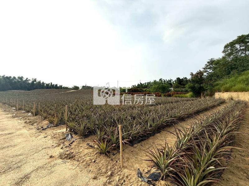 關廟新埔近社區2.9分農地房屋室內格局與周邊環境