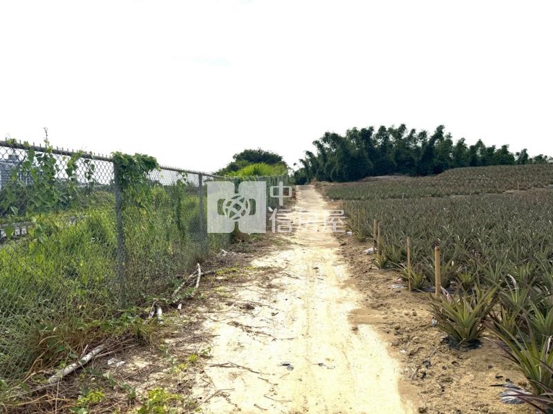 關廟新埔近社區2.9分農地房屋室內格局與周邊環境
