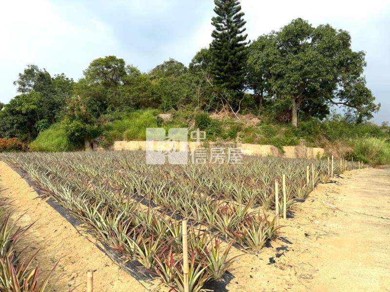 關廟新埔近社區2.9分農地房屋室內格局與周邊環境