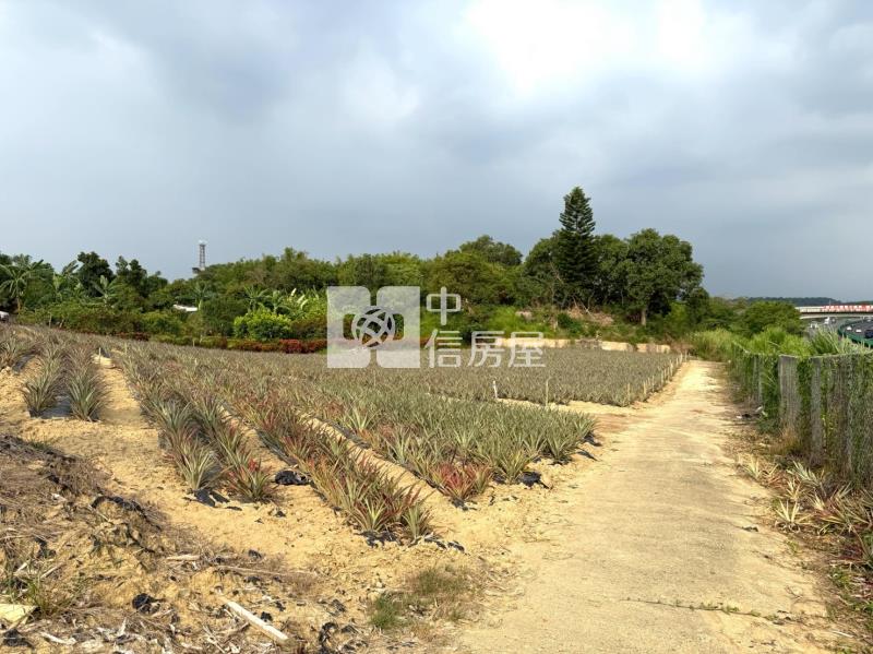 關廟新埔近社區2.9分農地房屋室內格局與周邊環境