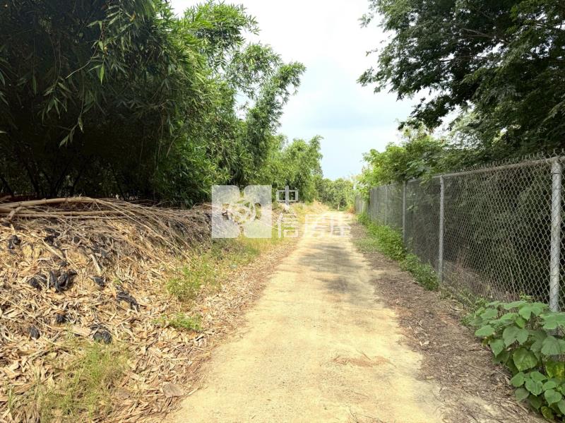 關廟新埔近社區2.9分農地房屋室內格局與周邊環境
