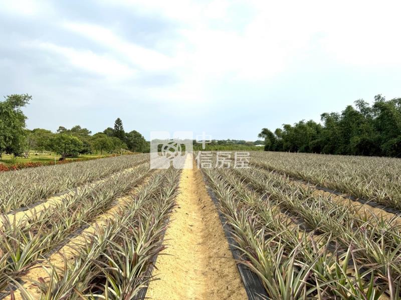 關廟新埔近社區2.9分農地房屋室內格局與周邊環境