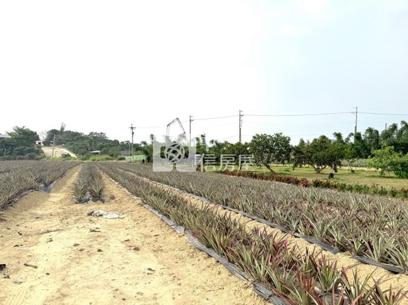 關廟新埔近社區2.9分農地房屋室內格局與周邊環境
