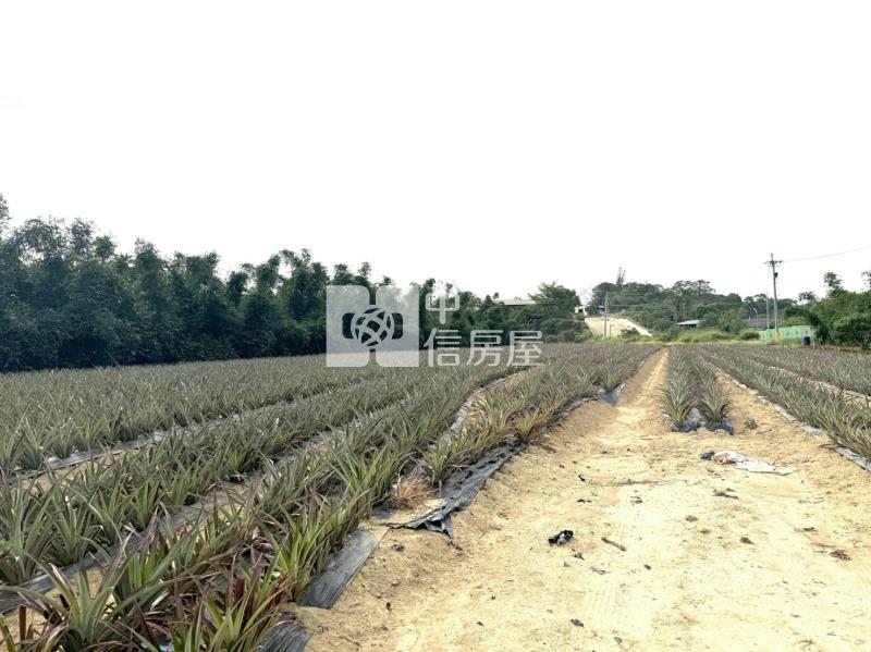 關廟新埔近社區2.9分農地房屋室內格局與周邊環境