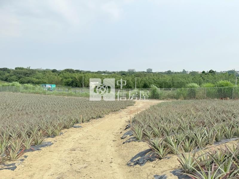 關廟新埔近社區2.9分農地房屋室內格局與周邊環境