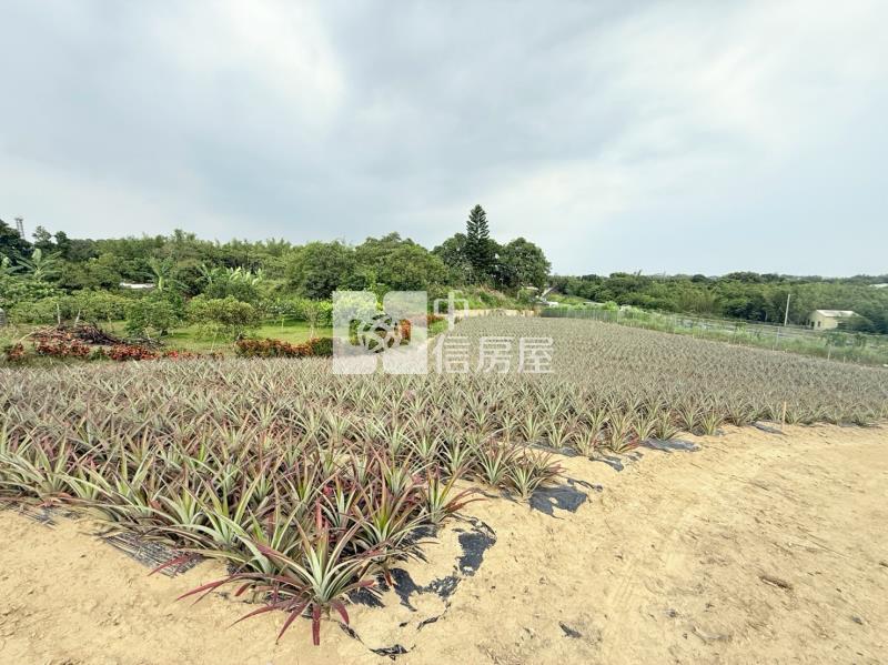 關廟新埔近社區2.9分農地房屋室內格局與周邊環境