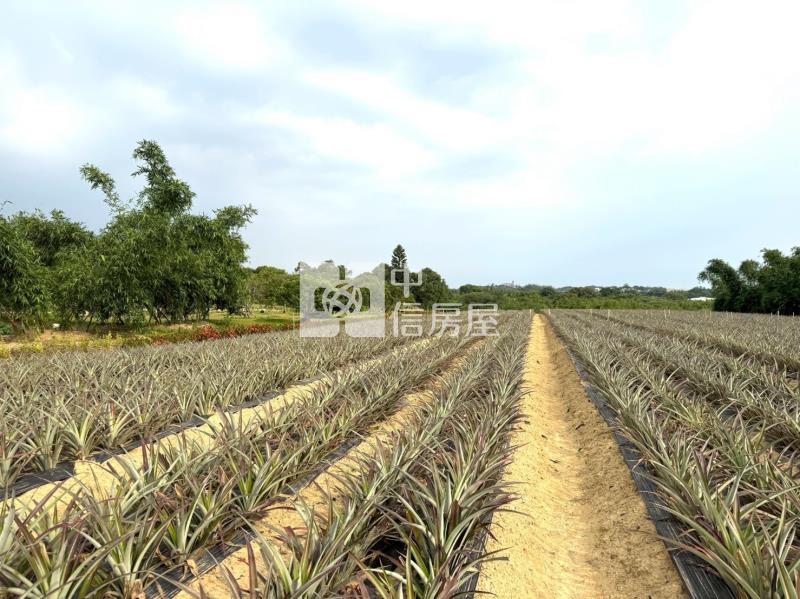 關廟新埔近社區2.9分農地房屋室內格局與周邊環境