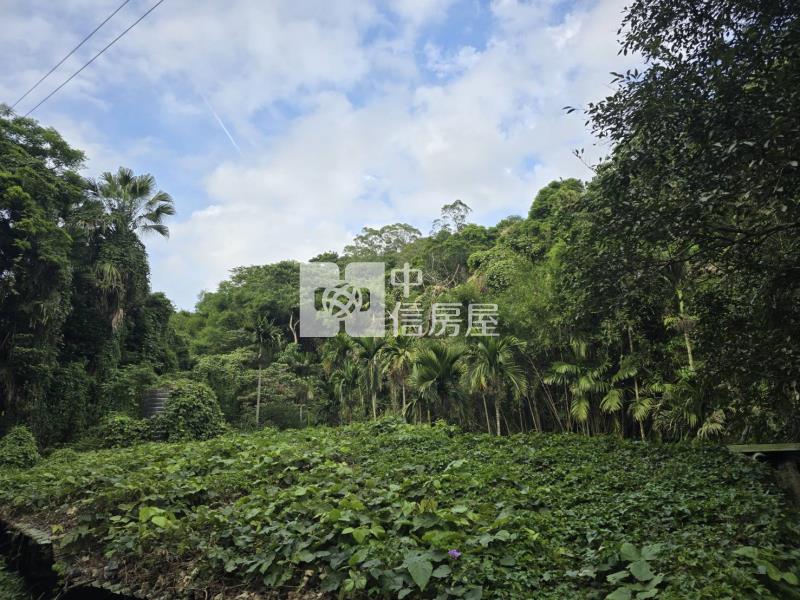 G031關西萬坪一般農房屋室內格局與周邊環境