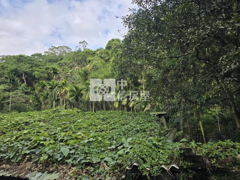 G031關西萬坪一般農房屋室內格局與周邊環境