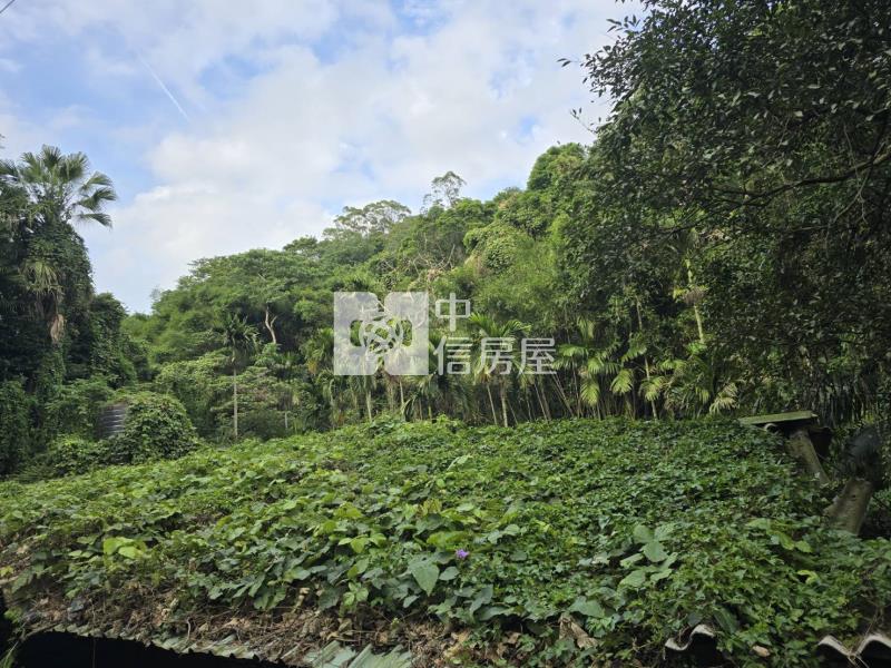 G031關西萬坪一般農房屋室內格局與周邊環境