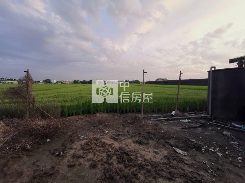 民雄麥當勞都計農地房屋室內格局與周邊環境