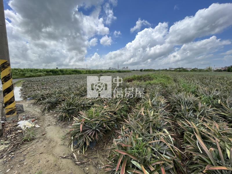 免萬元三角窗路草好農地房屋室內格局與周邊環境