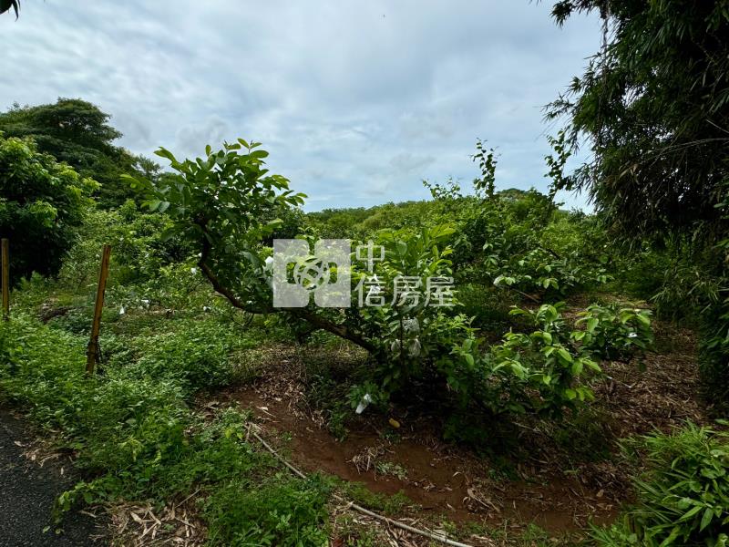 新屋交流道便宜都內田房屋室內格局與周邊環境