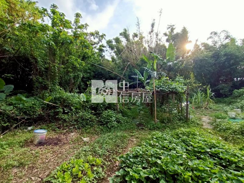 八德霄裡農會旁農加建房屋室內格局與周邊環境