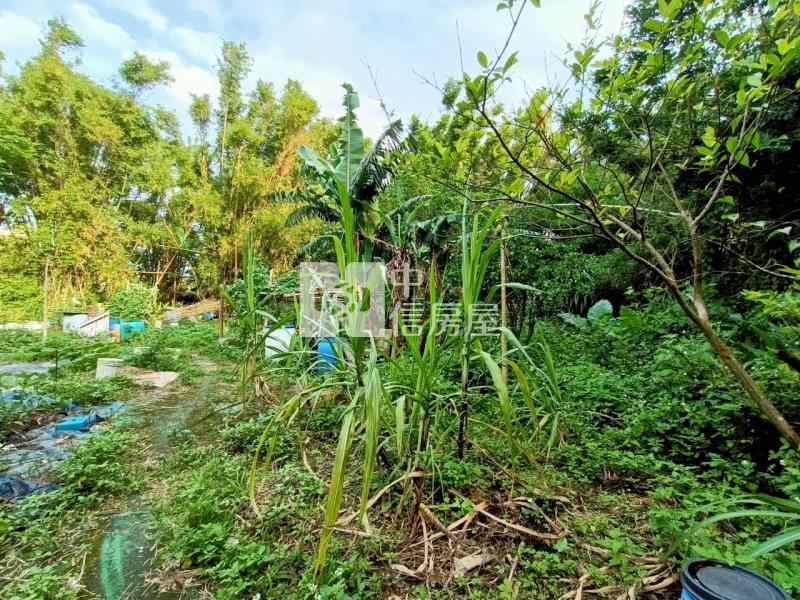八德霄裡農會旁農加建房屋室內格局與周邊環境