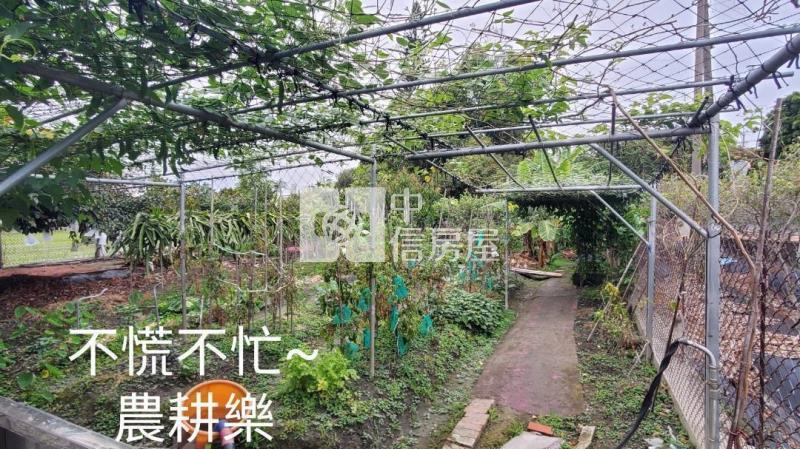 彰化社頭橋頭國小有自來水台電合法資材室房屋室內格局與周邊環境