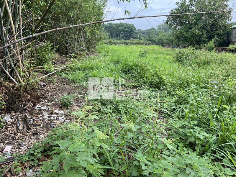 旺萊路1.34分都內農地房屋室內格局與周邊環境