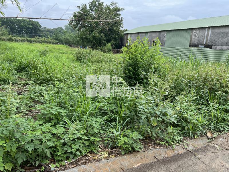 旺萊路1.34分都內農地房屋室內格局與周邊環境