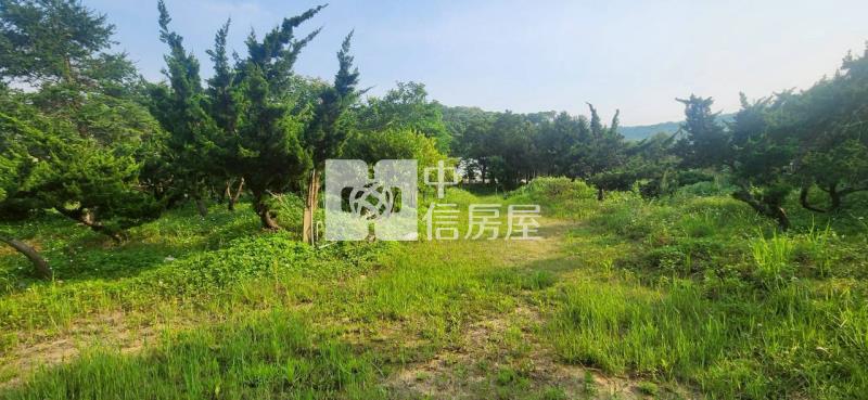湖口面寬一般農8米路房屋室內格局與周邊環境