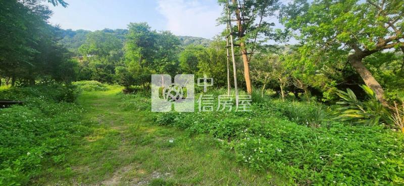 湖口面寬一般農8米路房屋室內格局與周邊環境
